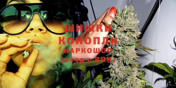 мдпв Новодвинск