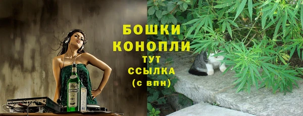 индика Абаза