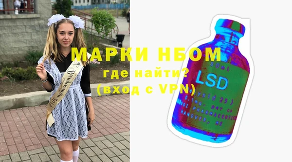 индика Абаза