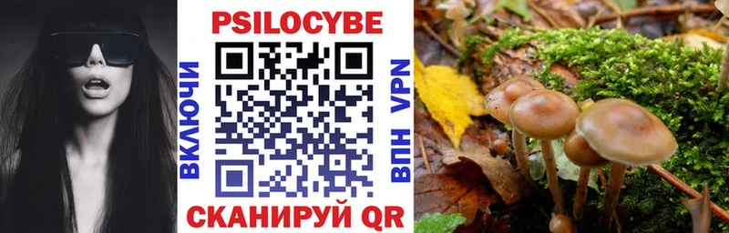 Псилоцибиновые грибы мухоморы  как найти   блэк спрут онион  Советский 